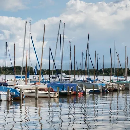 Kleine Nordseewelle Ohne Hund