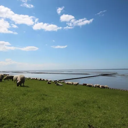 Kleine Nordseewelle Ohne Hund 度假居