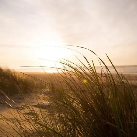 Kleine Nordseewelle Ohne Hund *