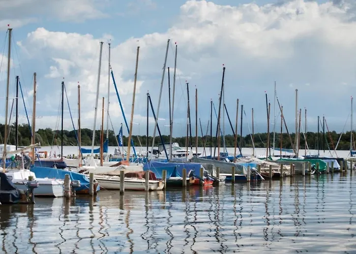 Kleine Nordseewelle Ohne Hund
