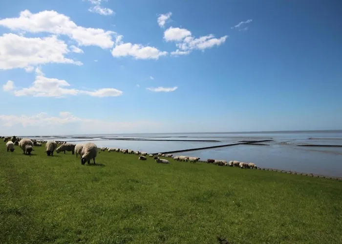 Kleine Nordseewelle Ohne Hund 度假居