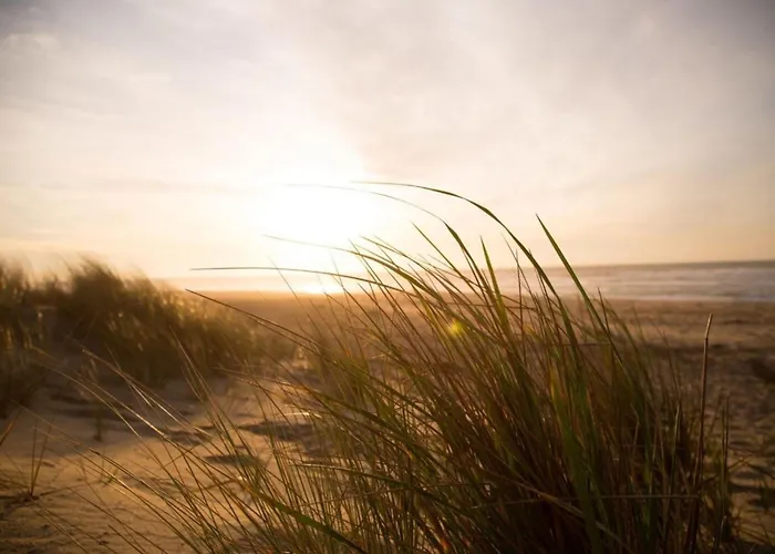 Kleine Nordseewelle Ohne Hund *
